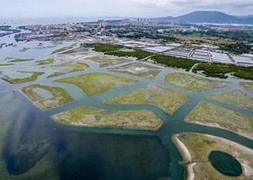 海南陵水紅樹林濕地公園試點(diǎn)建設(shè)項(xiàng)目測(cè)繪和勘察服務(wù)